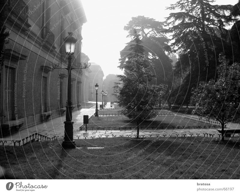 The Foggy Madrid exotisch Tourismus Blick historisch Freude Lebensfreude Angst Konzentration Night Nacht Museum Bodennebel Schwarzweißfoto Außenaufnahme