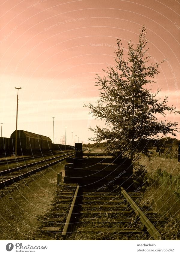 ENDSTATION IDYLLE | schienen natur romantik sonnenuntergang Eisenbahn Gleise Baum Laterne Romantik Gras Wiese Himmel wagon Natur Idylle Einsamkeit börsengang