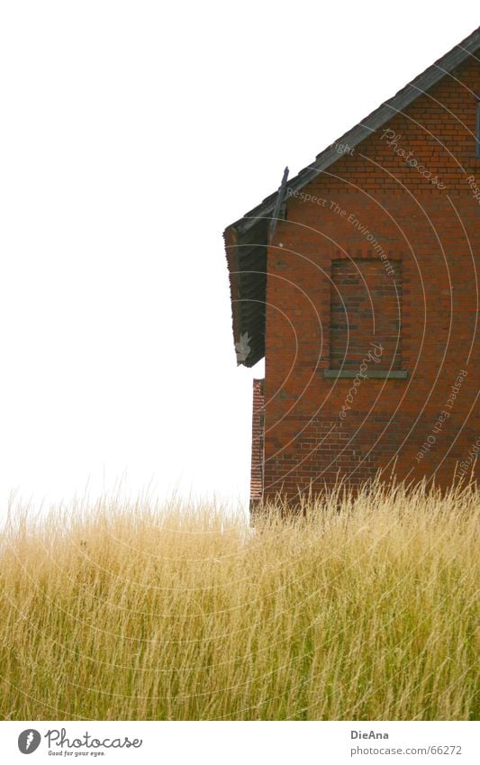 Backsteinhaus Sommer Haus Natur Gras Fenster grün rot weiß Idylle Halm grass blades bricks window red white Anschnitt Farbfoto Außenaufnahme Menschenleer Tag