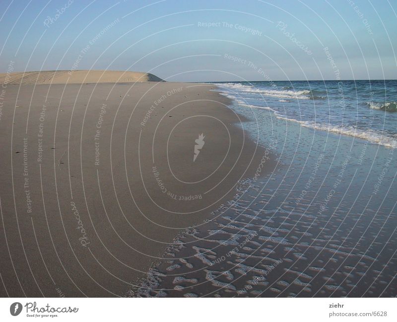 Wüstenstrand Meer heiß Strand Einsamkeit Sand Wasser Sonne Stranddüne