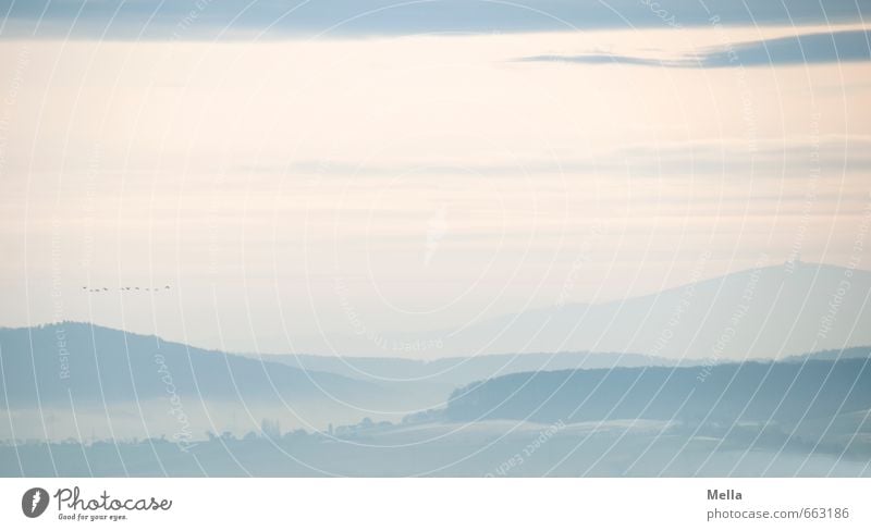 Begin the Begin Umwelt Natur Landschaft Luft Himmel Sonnenaufgang Sonnenuntergang Nebel Hügel Berge u. Gebirge Harz Brocken frei frisch Unendlichkeit natürlich