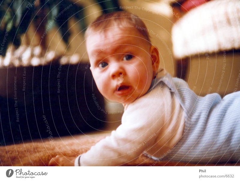 Phil' Baby krabbeln Kind klein Kleinkind süß Teppich Mensch Blick Fragen