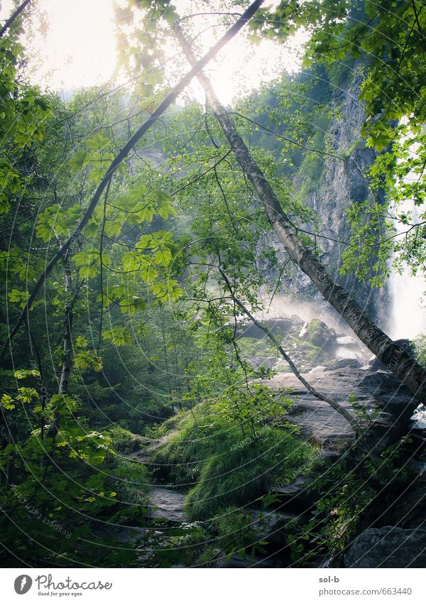 O | x Wellness Leben harmonisch Wohlgefühl Zufriedenheit Sinnesorgane Erholung ruhig Meditation Ferien & Urlaub & Reisen Tourismus Ausflug Abenteuer Ferne