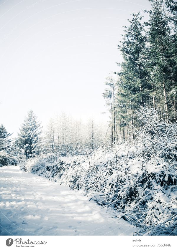 O | weiß Leben harmonisch Sinnesorgane ruhig Ferien & Urlaub & Reisen Ausflug Abenteuer Winter Berge u. Gebirge wandern Umwelt Natur Wolkenloser Himmel Wetter