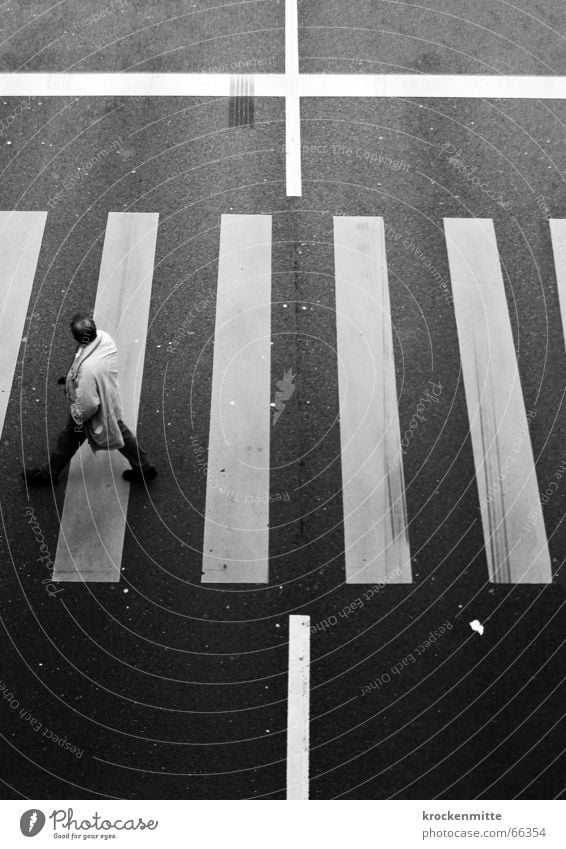 Todesfälle im Strassenverkehr Zebrastreifen Mann Überqueren Verkehr Fußgänger gefährlich Autounfall Asphalt Rücken Schilder & Markierungen Straße