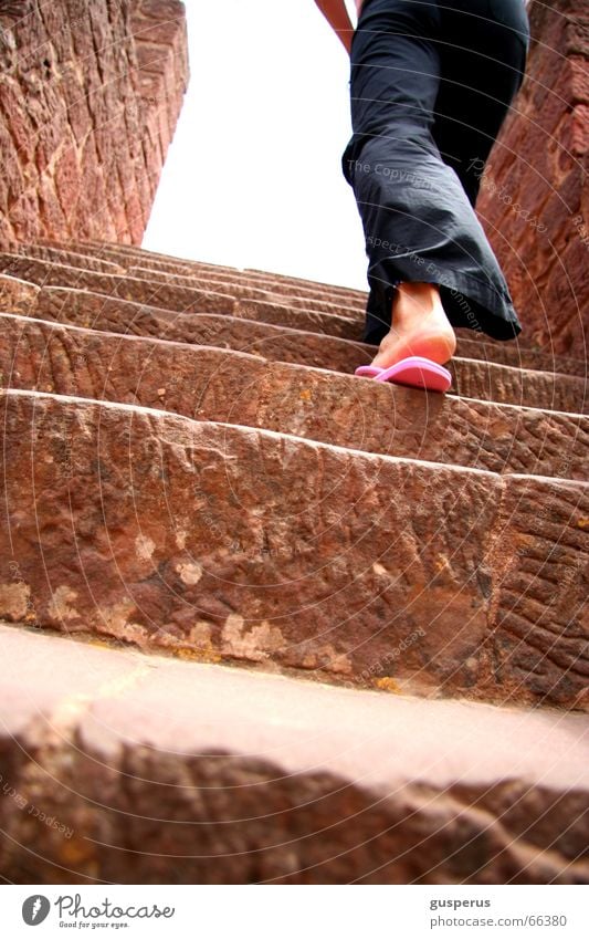 { der weg nach oben } aufsteigen hart hoch fertig Arbeit & Erwerbstätigkeit Treppe beschwerlich Wege & Pfade sich nichts schenken upstairs unzufreiden