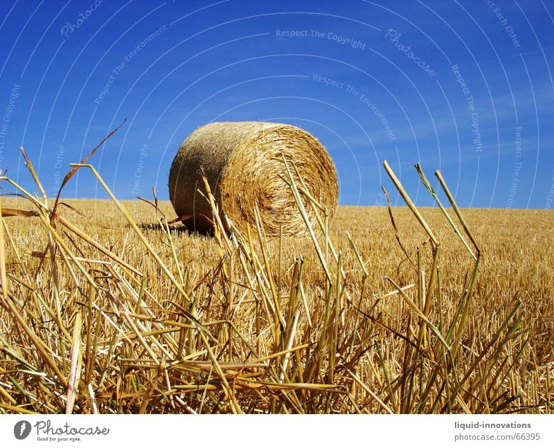 Rundballen Strohrolle Strohballen Feld Himmel Halm blau gold