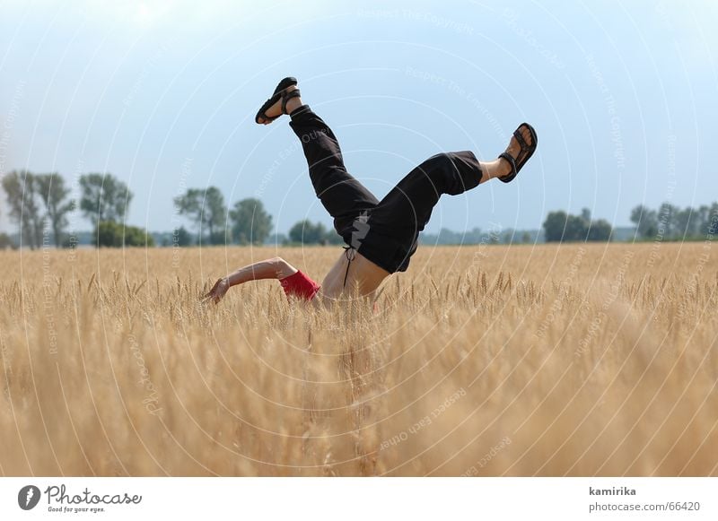 diving Kornfeld Feld springen Handstand Sommer Tanzen Freude was auch immer