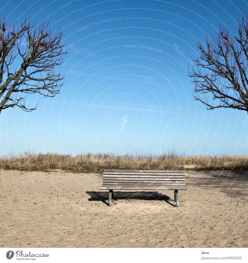 Zukunft l alles ist offen Erholung Winter Umwelt Natur Landschaft Sand Himmel Schönes Wetter Baum Küste Strand Ostsee Insel Usedom genießen sitzen Neugier