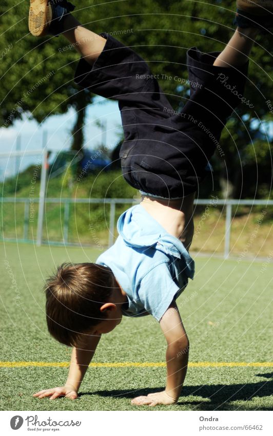 Handständler II Handstand Kind maskulin Artist Turnen Junge Kunstrasen Baum Sträucher Wiese Wolken Sommer heiß Physik Zaun Spagat Rasen Himmel blau Sonne Wärme