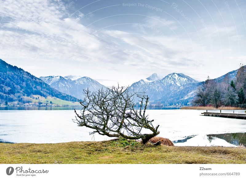 schliersee Umwelt Natur Himmel Wolken Winter Sträucher Wiese Alpen Berge u. Gebirge Seeufer einfach kalt nachhaltig natürlich trist blau grau Einsamkeit