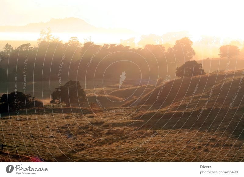 Auenland Nebel Wiese Flußauen Grasland Neuseeland Stimmung Morgen Sonne