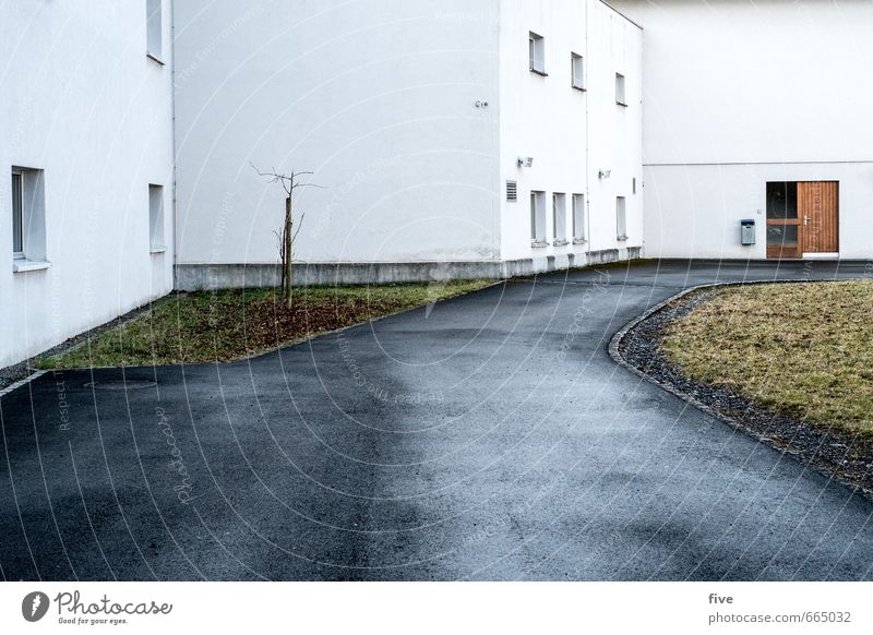 Fassade Natur Winter Wetter Regen Pflanze Baum Gras Sträucher Garten Haus Bauwerk Gebäude Architektur Mauer Wand Fenster Tür Straße Wege & Pfade kalt Teer