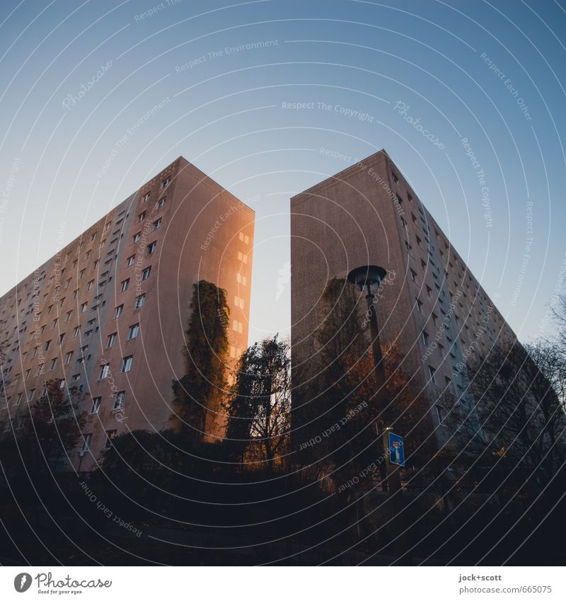 aus dem Schattenreich Umwelt Wolkenloser Himmel Winter Klimawandel Sträucher Marzahn Plattenbau Stadthaus Fassade Fenster Einbahnstraße Straßenbeleuchtung