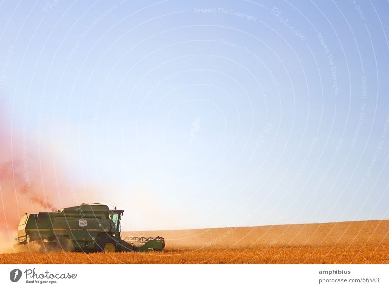 Das Schicksal essbar zu sein ... Ähren Mähdrescher Landleben Feld Franken Bayern Weizen Landwirt Landwirtschaft Dorf Arbeit & Erwerbstätigkeit Mehl Ernte