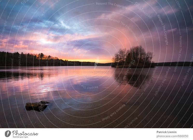 Stille Wasser Umwelt Natur Landschaft Urelemente Luft Himmel Wolken Sonnenaufgang Sonnenuntergang Sonnenlicht Wetter Schönes Wetter Pflanze Baum Küste Seeufer