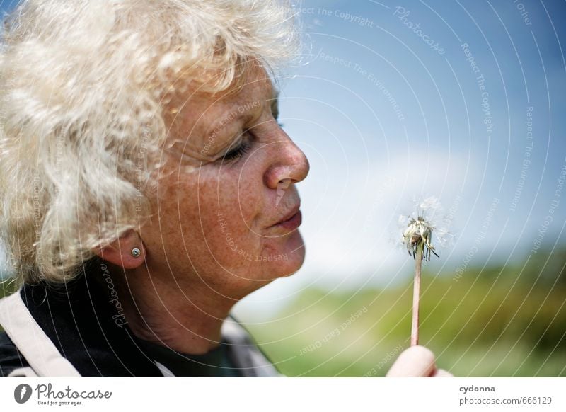 Pusteblume Lifestyle Glück Gesundheit Gesundheitswesen Seniorenpflege Leben harmonisch Wohlgefühl Mensch Weiblicher Senior Frau 45-60 Jahre Erwachsene