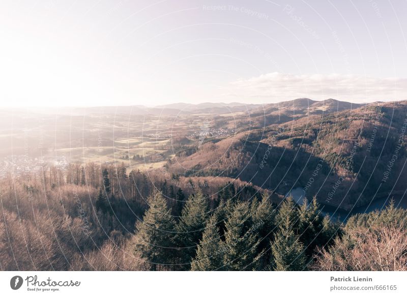 Südschwarzwald Leben Wohlgefühl Zufriedenheit Ferien & Urlaub & Reisen Tourismus Ausflug Abenteuer Ferne Freiheit Umwelt Natur Landschaft Urelemente Luft Himmel