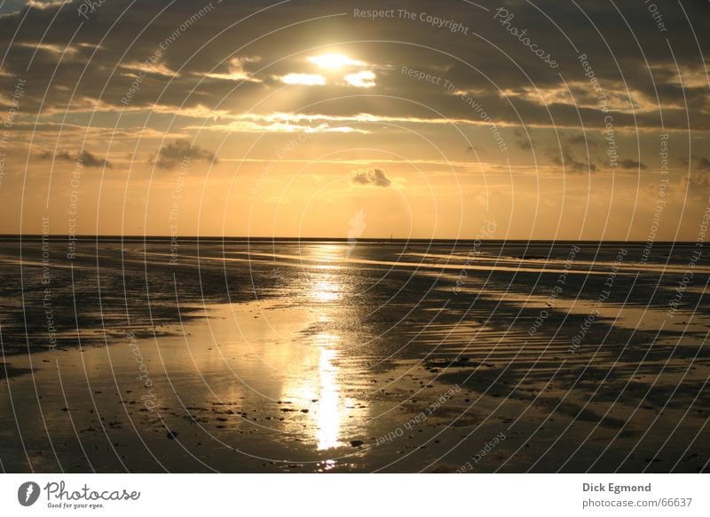 Strand Sankt Peter Ording Herbst Jahreszeiten Licht Sonnenuntergang St. Peter-Ording Neuanfang Abschied Verbundenheit herbstsonne beginn ende Deutschland