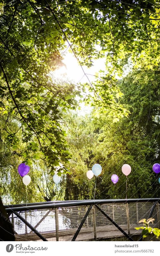 Balloon II Reichtum Freude Glück sparen Zufriedenheit Sinnesorgane Erholung Sommer Dekoration & Verzierung Party Veranstaltung Feste & Feiern Valentinstag