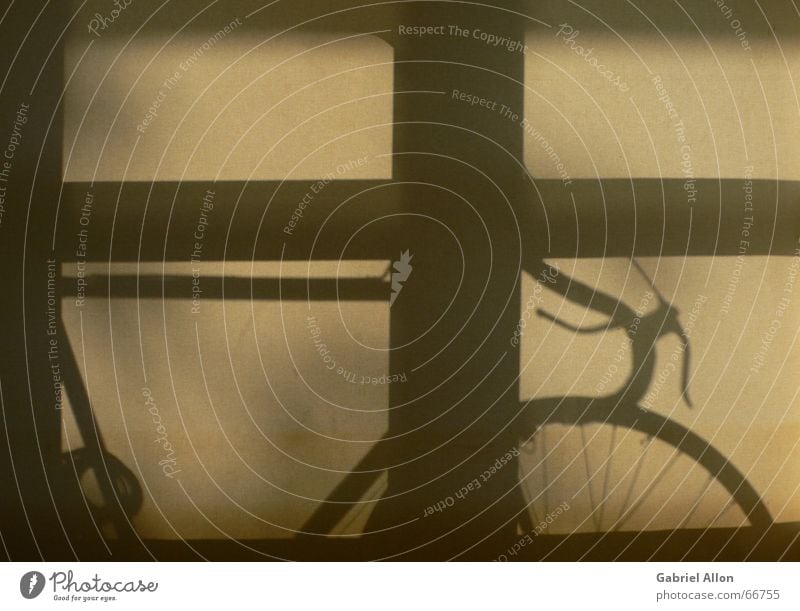 SchattenRenner Rennrad Fahrrad Gegenlicht Gardine Vorhang rennvelo storen