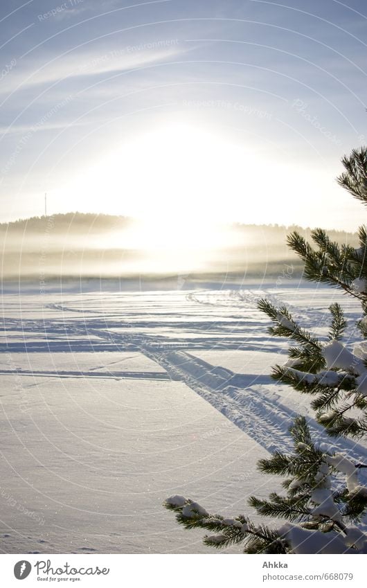 scooter tracks Himmel Wolken Sonne Schnee Baum Stimmung Frühlingsgefühle Sympathie Zusammensein trösten Entschlossenheit Glück Horizont Idee Identität Idylle