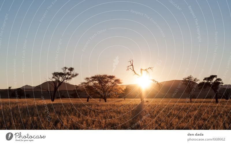 sonnenaufgang in der Namib Ferien & Urlaub & Reisen Tourismus Ausflug Abenteuer Ferne Freiheit Safari Expedition Sommerurlaub wandern Natur Landschaft Sand