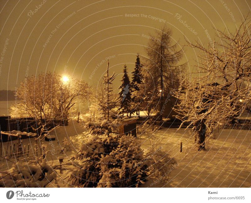 Wintergarten Garten Schnee Nacht Licht Baum Dorf Sträucher dunkel Landschaft Schatten