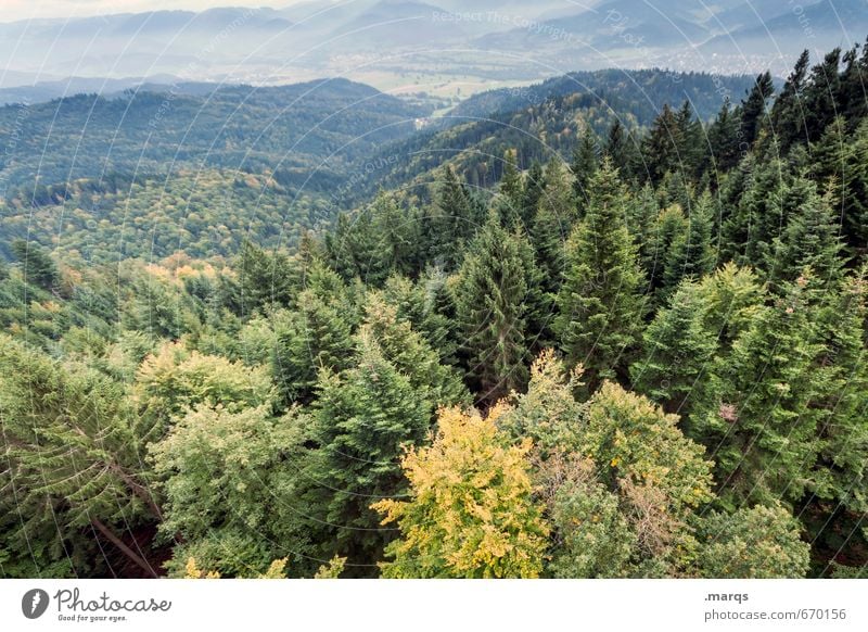 Tiefflieger Ausflug Abenteuer Umwelt Natur Landschaft Pflanze Horizont Sommer Klima Wald Hügel außergewöhnlich gigantisch natürlich Perspektive Luftaufnahme