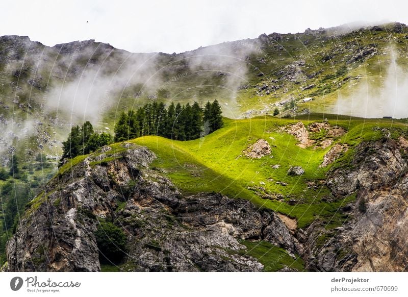 Vorlage für Miniaturwelten: Berge mit Bäumen Freizeit & Hobby Ferien & Urlaub & Reisen Tourismus Ausflug Abenteuer Sommerurlaub Berge u. Gebirge Umwelt Natur