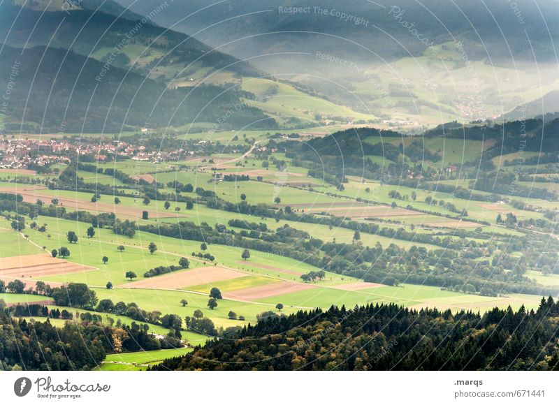 Tal Ausflug Freiheit Sommer Umwelt Natur Landschaft Pflanze Wiese Feld Wald Hügel Berge u. Gebirge Erholung schön Stimmung Idylle Schwarzwald Farbfoto