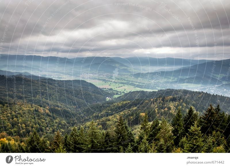 Dreisamtal Umwelt Natur Landschaft Urelemente Himmel Gewitterwolken Sommer Klimawandel Unwetter Pflanze Wald Hügel Berge u. Gebirge schön Stimmung Tal