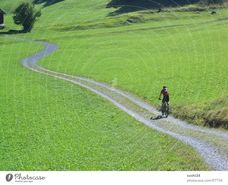 endlich frei Wiese ruhig Einsamkeit Fußweg langsam Frieden Erholung Ferien & Urlaub & Reisen Weitwinkel biken mountain mountainbike schweiz Alpen Wege & Pfade