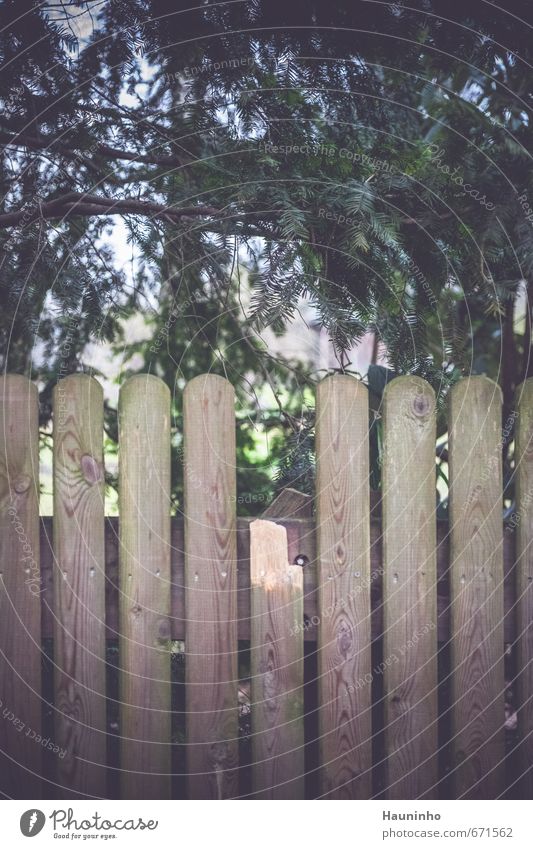 Gartenzaun Umwelt Natur Baum Grünpflanze Park Fürstenfeldbruck Kleinstadt trist grün Einsamkeit Leica Elmarit 60mm Holz Holzwand Farbfoto Außenaufnahme