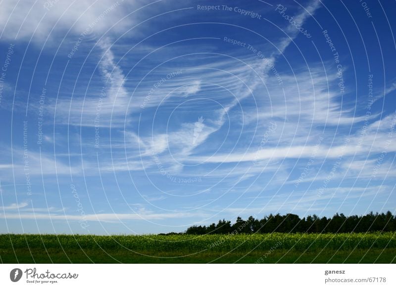 Victory Feld Sommer Wolken Wald Himmel Landschaft sky field