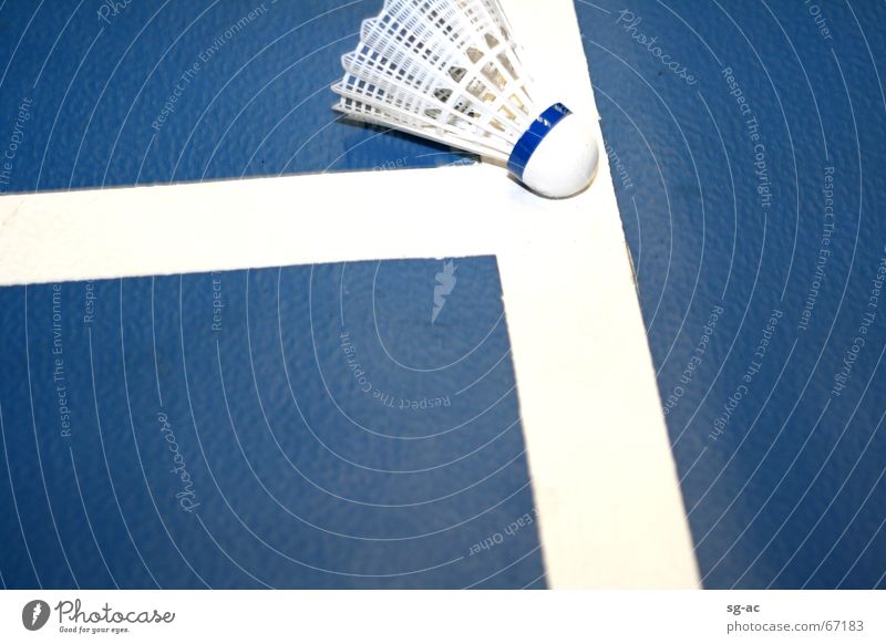 Drin oder Aus? Badminton weiß Kork blau blue white Linie shuttlecock Feder Lagerhalle Sport Ball Federball