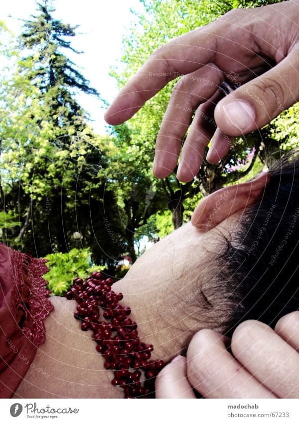 A TOUCH OF NATURE egoistisch Ekel Wut Romantik vergangen Liebeskummer Nacken Frau Hand Finger schlafen Mensch Nadelbaum Erholung Wohlgefühl Ende Erinnerung