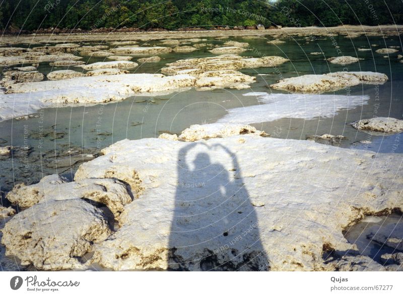 verliebtes schattenpaar Ehe Ferien & Urlaub & Reisen Liebe Vertrauen verheiratet Ehering Strand Seestern Partnerschaft Symbole & Metaphern Zusammensein Schatten