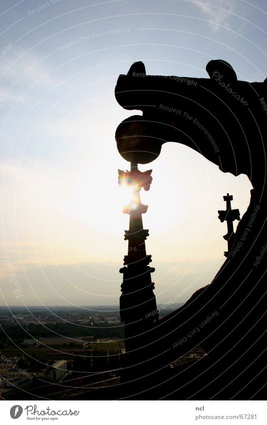 Magdeburger Dom Wolken Gotik Horizont Licht Abend Dämmerung Dach Stadt Ferne Aussicht blenden Sonnenuntergang Romantik gegenlich Himmel Silhouette