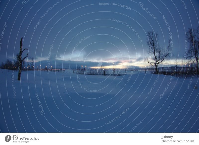 sonne in kiruna Landschaft Himmel Wolken Horizont Sonnenaufgang Sonnenuntergang Winter Schnee Baum blau ruhig Kiruna Schweden Farbfoto Außenaufnahme