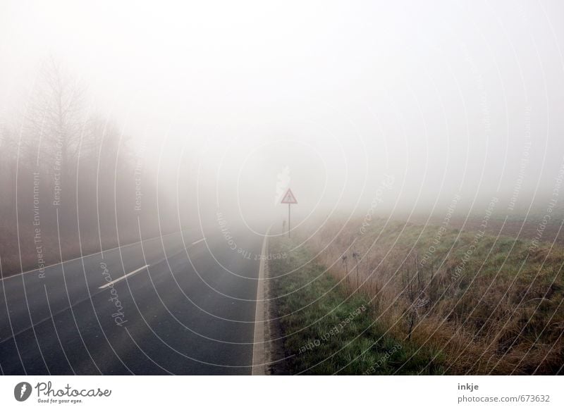 spooky walk Umwelt Luft Herbst Winter Wetter schlechtes Wetter Nebel Baum Gras Feldrand Stadtrand Menschenleer Verkehr Verkehrswege Straßenverkehr Autofahren