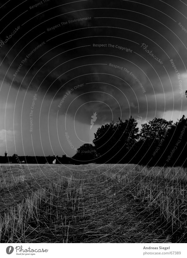 Da braut sich was zusammen... Donnern Wolken dunkel schwarz Unwetter Feld Sturm Schwarzweißfoto Gewitter grollen Wetter bedrohlich Regen Wind Stoppel Ernte