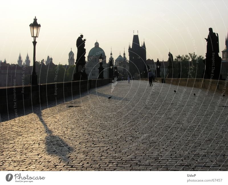 Spitze Aussicht Karlsbrücke Prag Tschechien Dämmerung Sonnenaufgang Laterne Denkmal Stadt Gegenlicht Morgen Turm Schatten Kontrast Brücke Silhouette