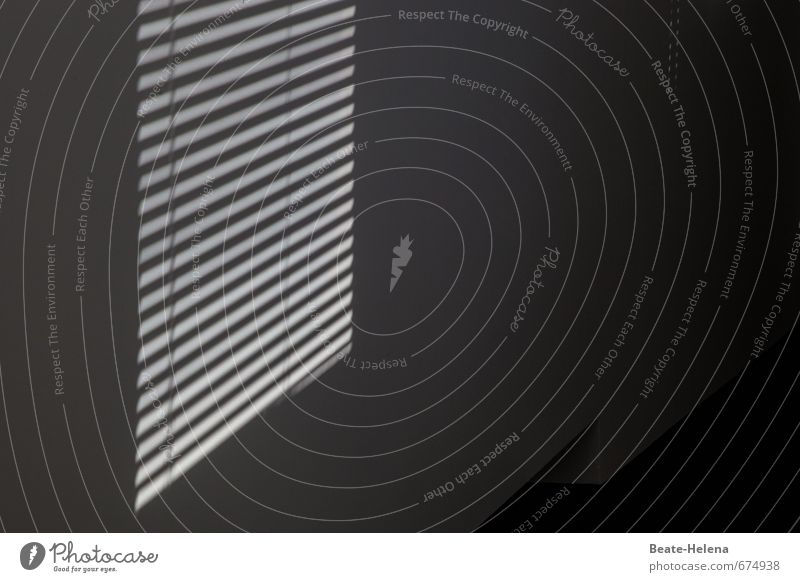 Die Sonne meldet sich zurück Architektur Mauer Wand Fenster Ornament eckig lang schwarz weiß Schutz Geborgenheit Verschwiegenheit Jalousie Streifen Lichteffekt