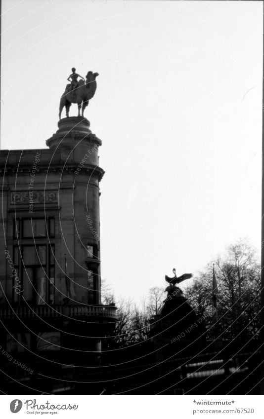 **zoo** Zoo Kamel Belgien Antwerpen Grauwert Am Rand Reiter eingang neben dem bahnhof centraal station Schwarzweißfoto analog und dirty