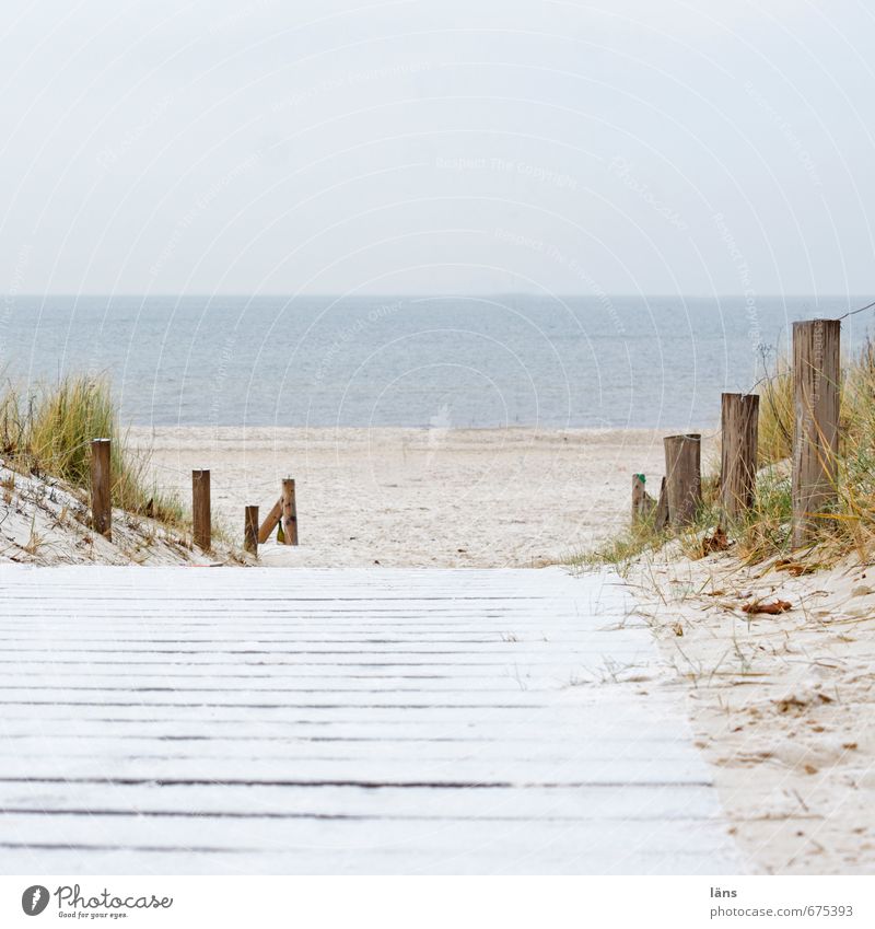 Nebensaison Umwelt Natur Landschaft Urelemente Sand Luft Wasser Himmel Winter Gras Küste Strand Ostsee Meer Ferien & Urlaub & Reisen Gelassenheit Beginn