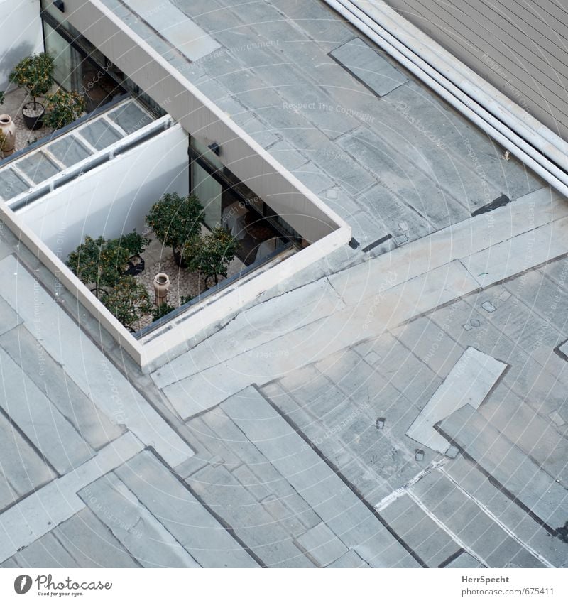 Zimmer ohne Aussicht Haus Bauwerk Gebäude Architektur Terrasse Dach eckig hässlich trist unten Stadt grau Platzangst eng gefangen Freiraum Loch Garten