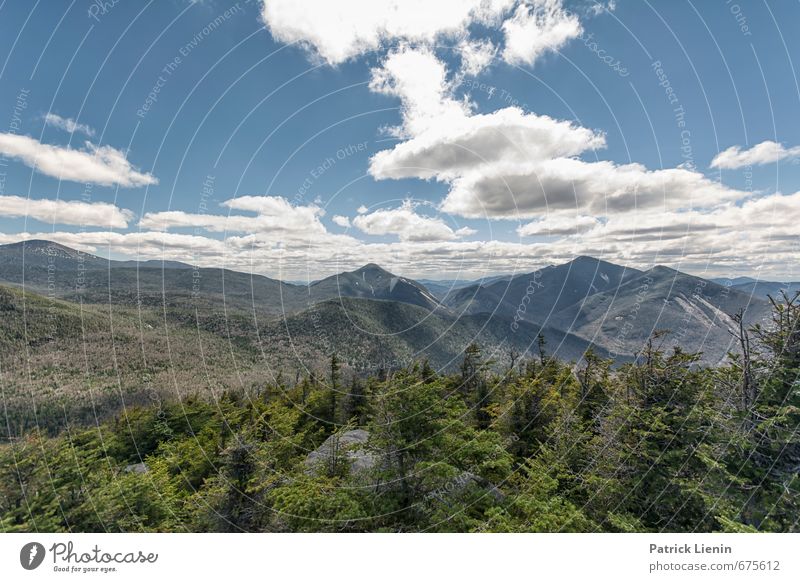 Unterwegs mit Bären Gesundheit Wellness Zufriedenheit Erholung ruhig Ferne Freiheit Umwelt Natur Landschaft Urelemente Himmel Wolken Frühling Sommer Wetter