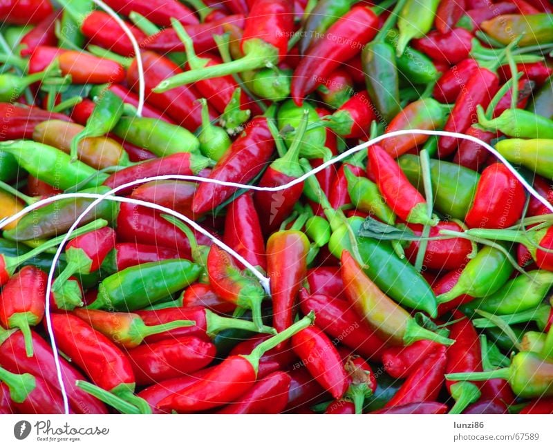 hot! Peperoni Kräuter & Gewürze Gift Scharfer Geschmack rot grün Vegetarische Ernährung würzig pfefferoni scharf auf scharfer paprika scharf gewürzt Chili red