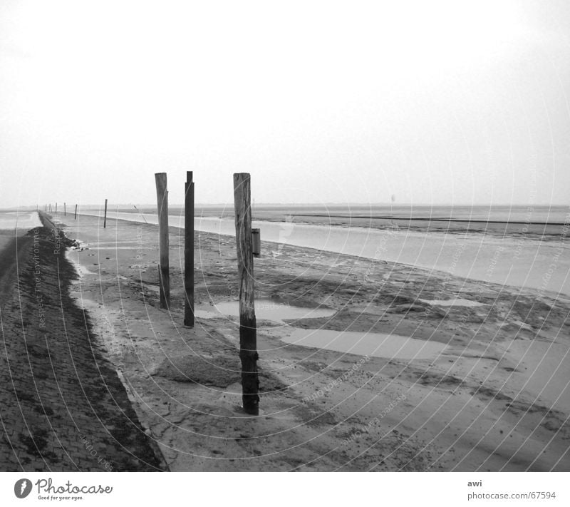 Fahrwasser Ebbe See Meer Schifffahrt Wasserfahrzeug Einsamkeit Ferien & Urlaub & Reisen Wattenmeer Buhne Hafen Nordsee nessmersiel Schwarzweißfoto Traurigkeit